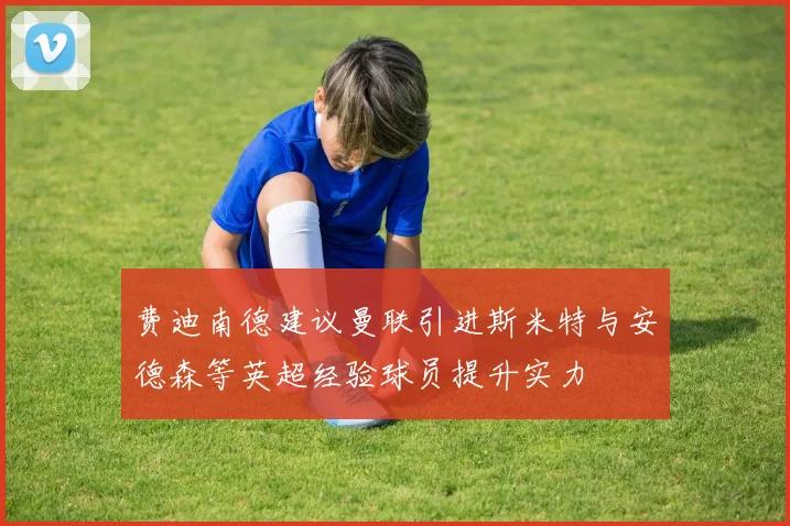 费迪南德建议曼联引进斯米特与安德森等英超经验球员提升实力