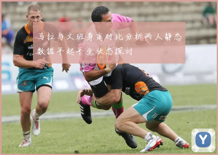 马拉与文班身高对比分析两人静态数据平起平坐状态探讨