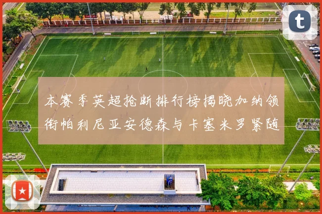 本赛季英超抢断排行榜揭晓加纳领衔帕利尼亚安德森与卡塞米罗紧随其后